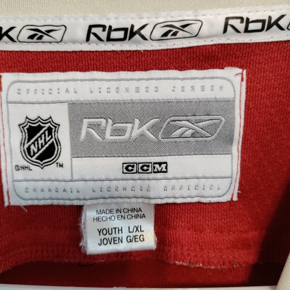 NHL Minnesota WILD Hockey Youth MARIAN GABORIK 10 Jersey Red/Green/Biege L/XL - Picture 5 of 11